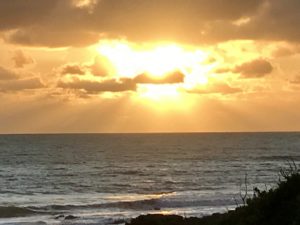 Lire la suite à propos de l’article Bord de mer