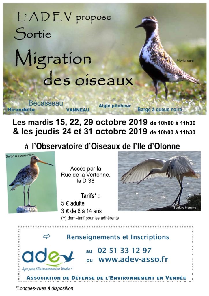 Affich migration 2019 YR 2