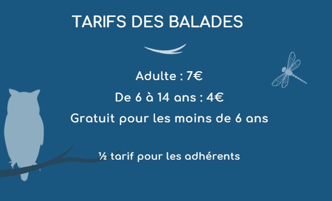 Tarifs balades