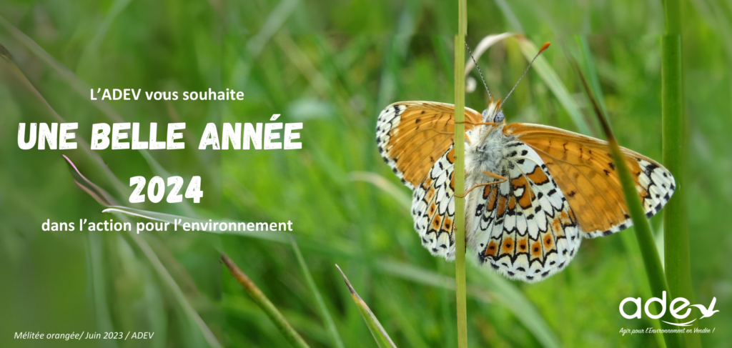 You are currently viewing L’ADEV vous souhaite une bonne année 2024 !