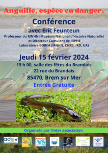 Lire la suite à propos de l’article Conférence : Anguille, espèce en danger – 15 février 2024 à 19h