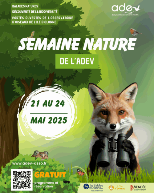 Affiche globale - panneaux pub