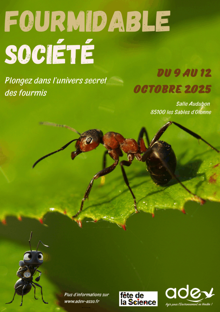 Affiches stand fourmi