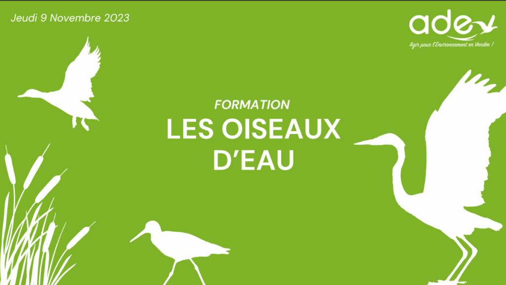 Capture d'écran 2025-10-02 171802