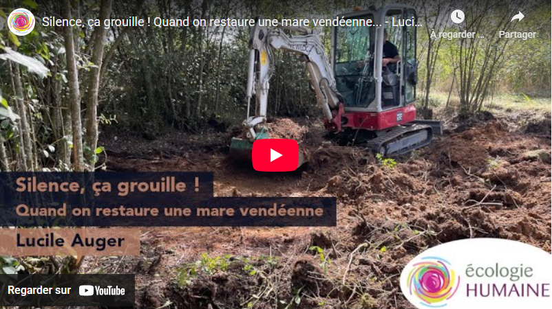 You are currently viewing Restauration de la mare de l’observatoire (CEH)