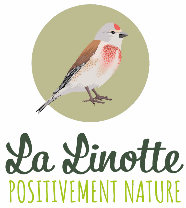 LOGO_LA_LIGNOTTE_2024