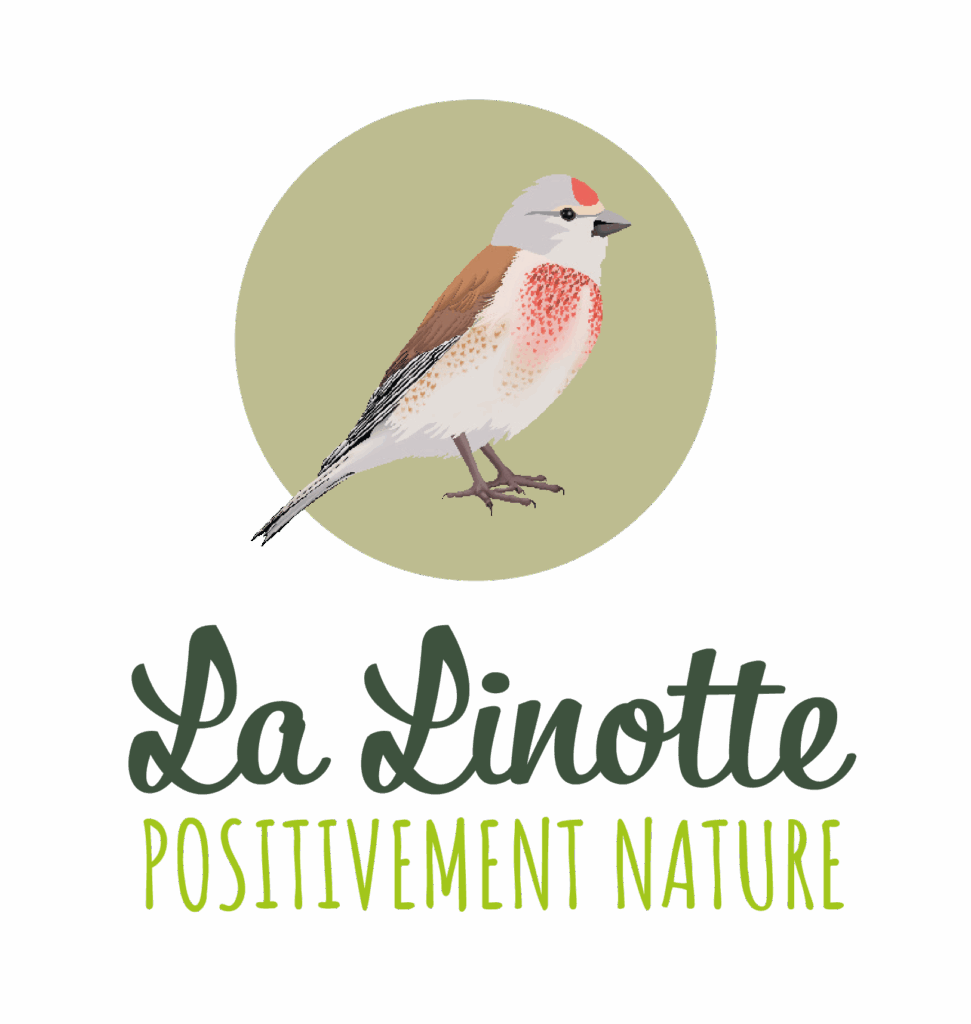 LOGO_LA_LIGNOTTE_2024