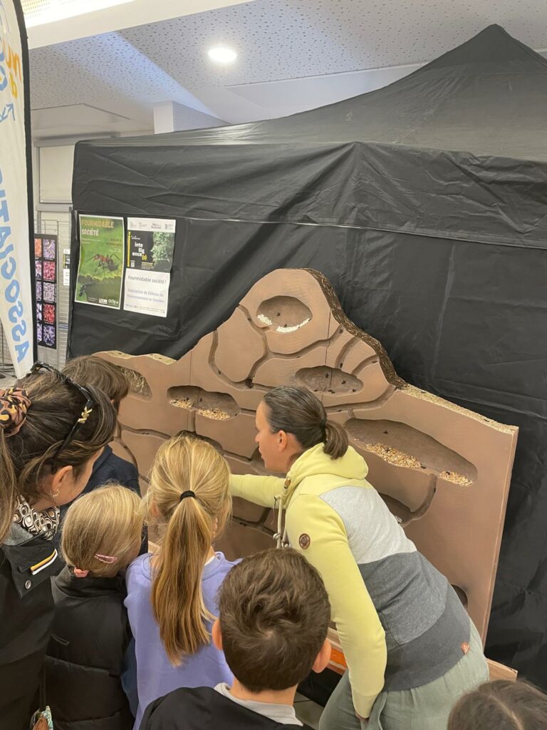 WhatsApp Image 2025-10-14 at 14.03.17 (1)