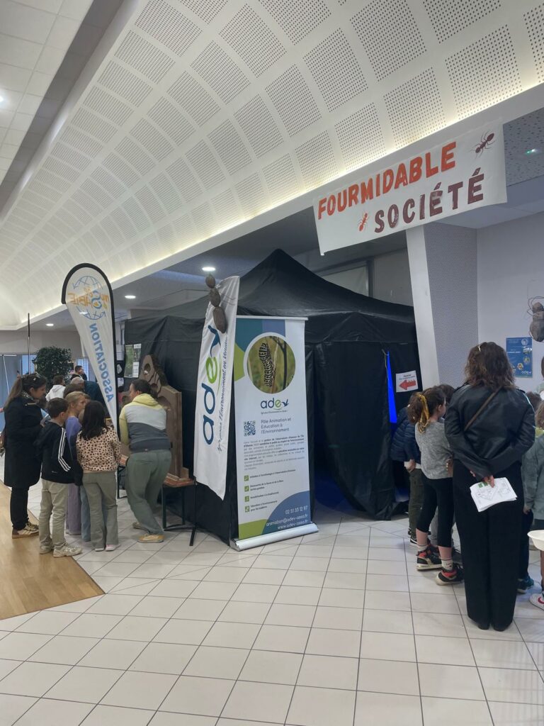 WhatsApp Image 2025-10-14 at 14.03.17 (2)