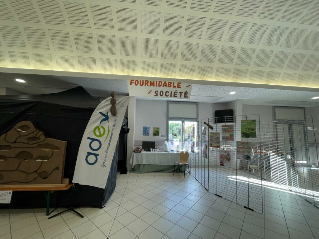 WhatsApp Image 2025-10-14 at 14.03.17