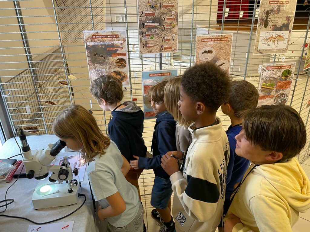 WhatsApp Image 2025-10-14 at 14.03.18 (2)