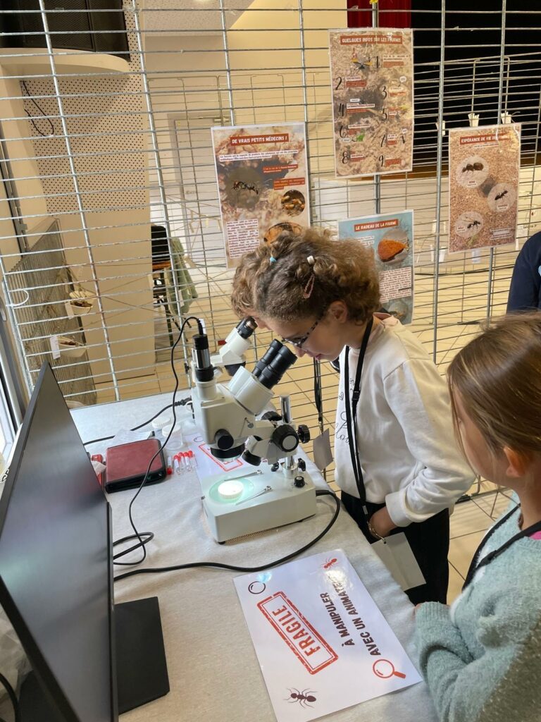 WhatsApp Image 2025-10-14 at 14.03.18 (3)