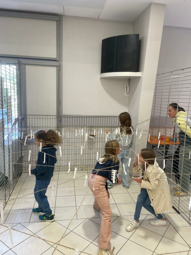 WhatsApp Image 2025-10-14 at 14.03.18