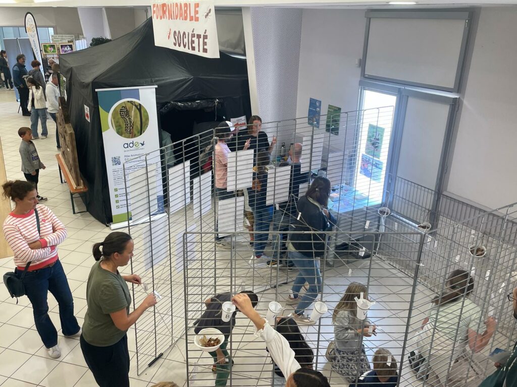 WhatsApp Image 2025-10-14 at 14.07.03 (2)