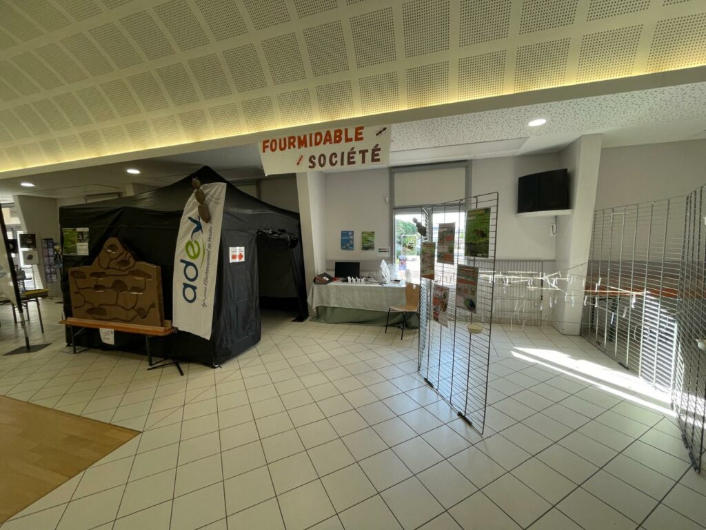 WhatsApp Image 2025-10-14 at 14.07.03