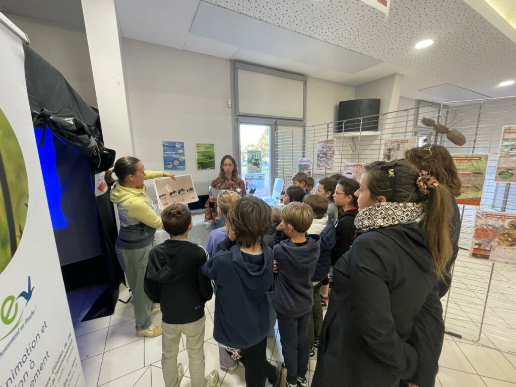 WhatsApp Image 2025-10-14 at 14.14.09