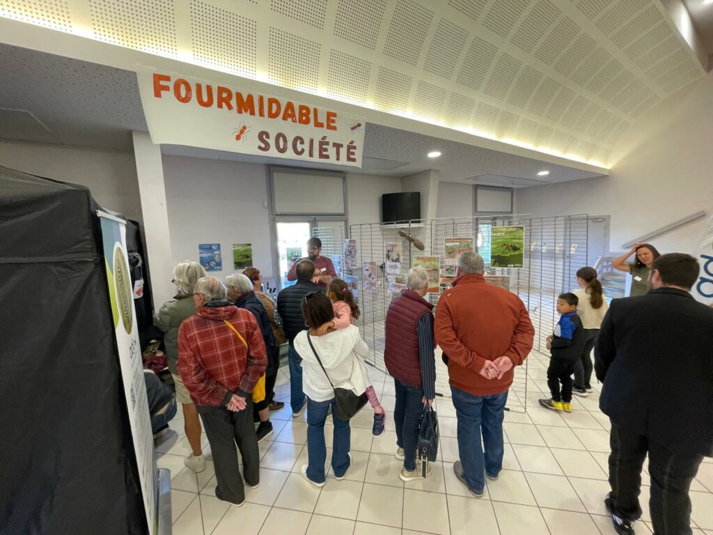 WhatsApp Image 2025-10-14 at 14.14.12