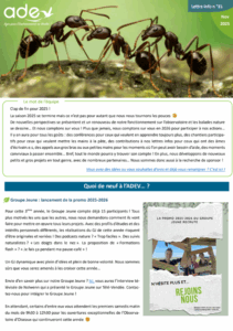 Lire la suite à propos de l’article Lettre info n°31