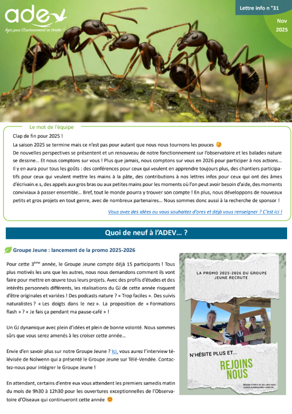 You are currently viewing Lettre info n°31