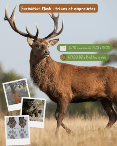Lire la suite à propos de l’article Formation flash : traces et empreintes