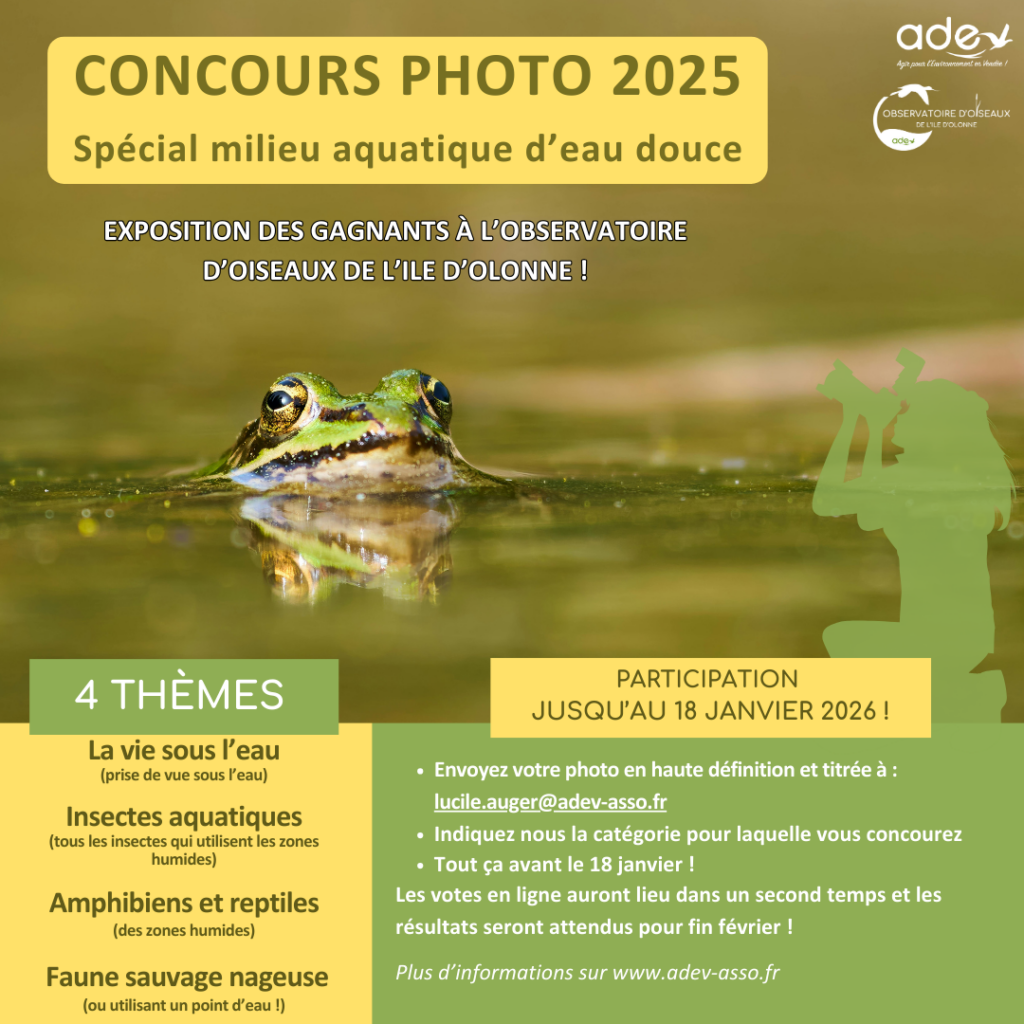 You are currently viewing Dernière ligne droite pour participer au concours photo !