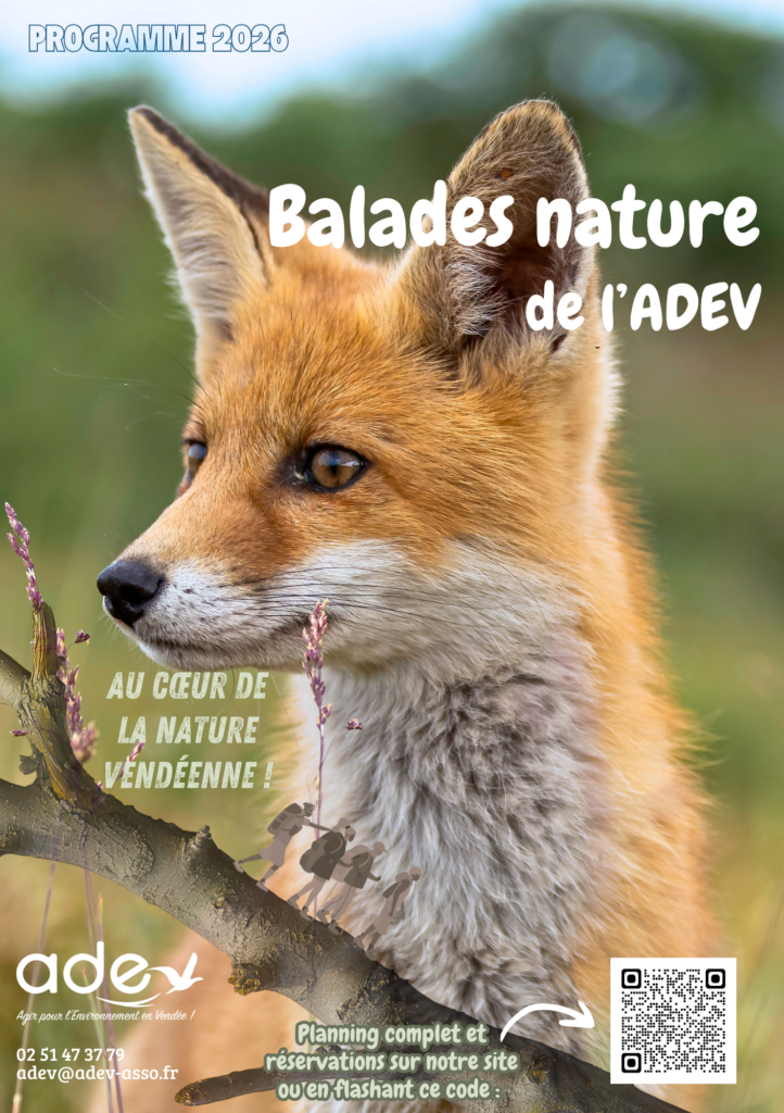 Balades nature 2026