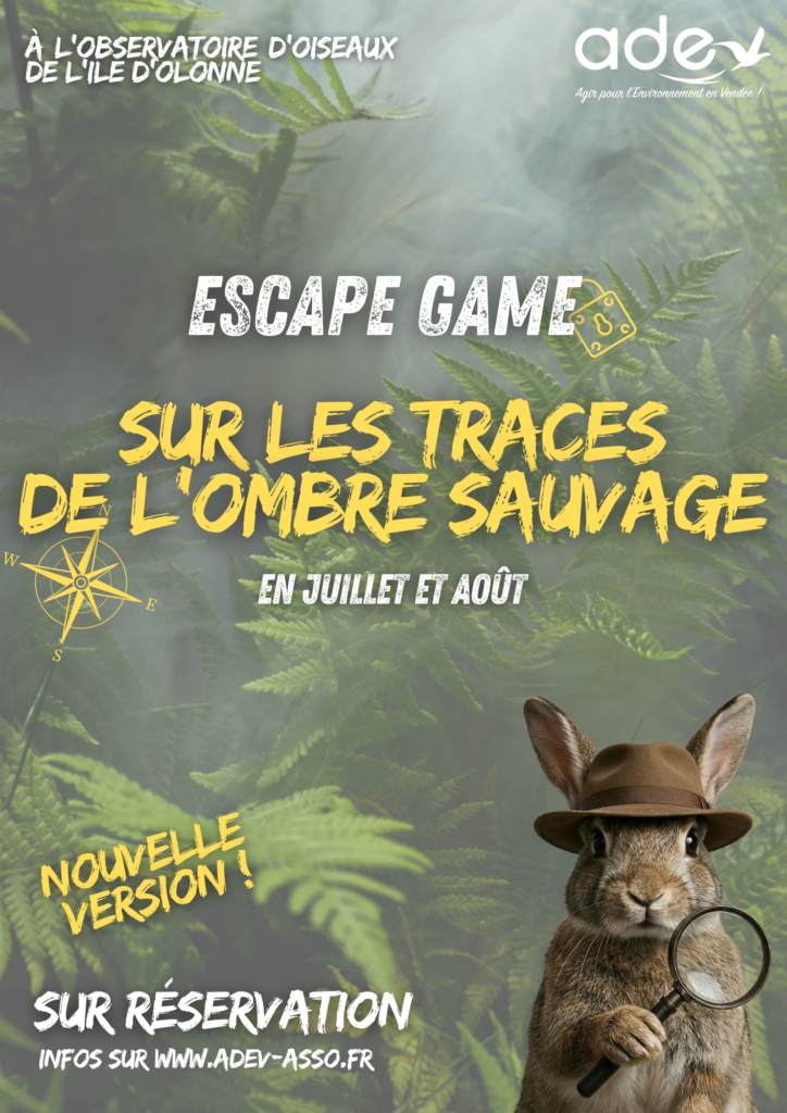 Escape Game en extérieur Nature Ile d'Olonne
