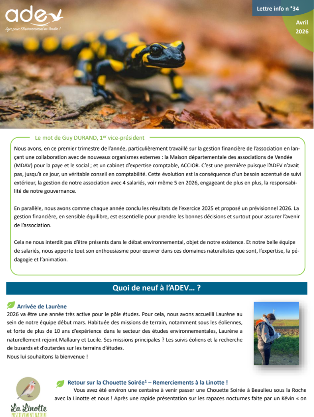 You are currently viewing Lettre Info n°34