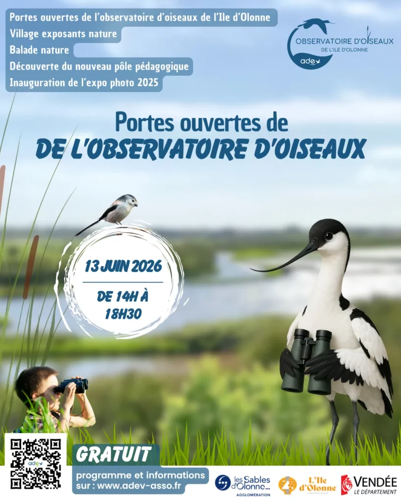 Affiche PO OBS