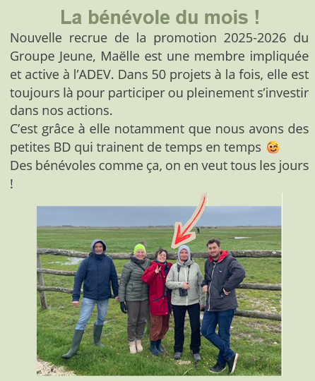 Capture d'écran 2026-08-17 104521