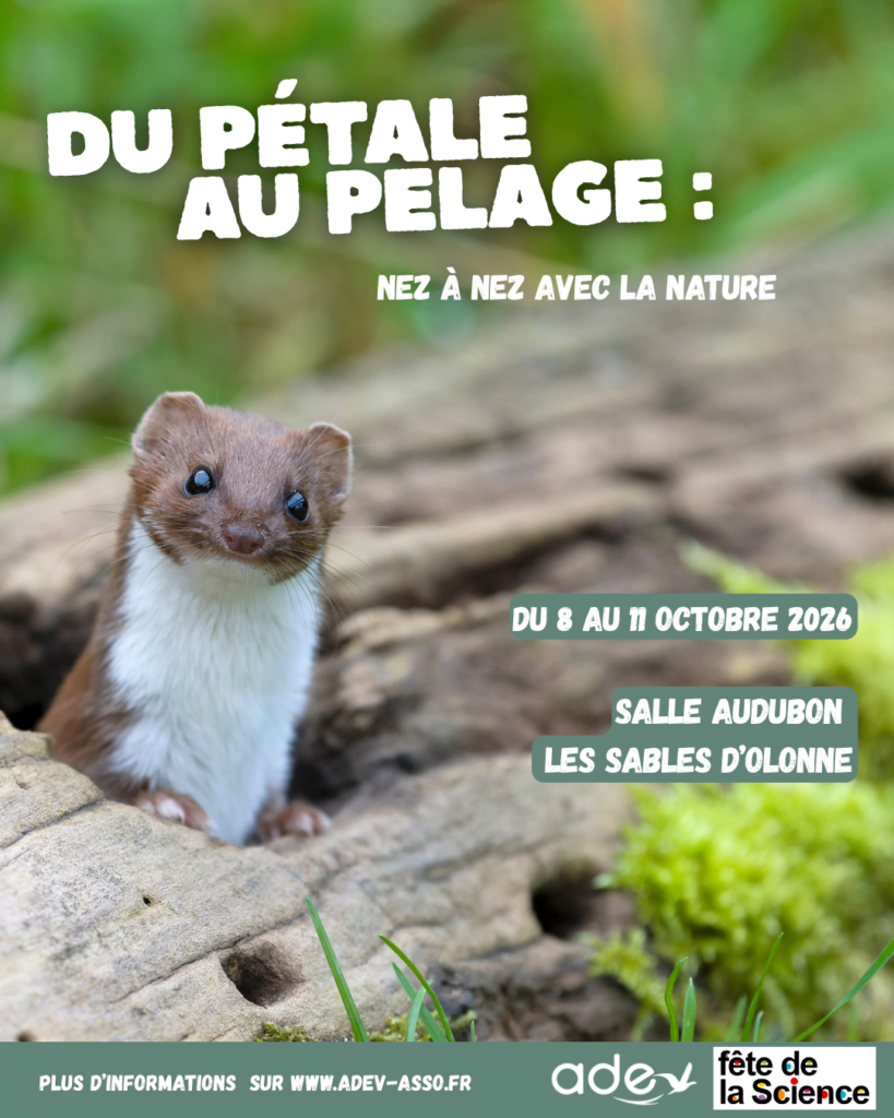 Affiche fête de la science 2026 (2)