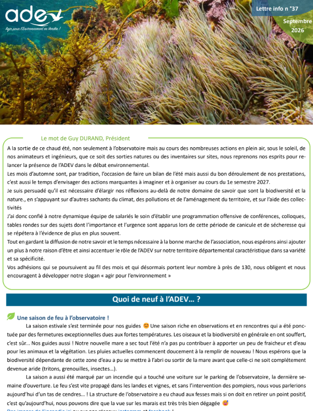 lettre info 37