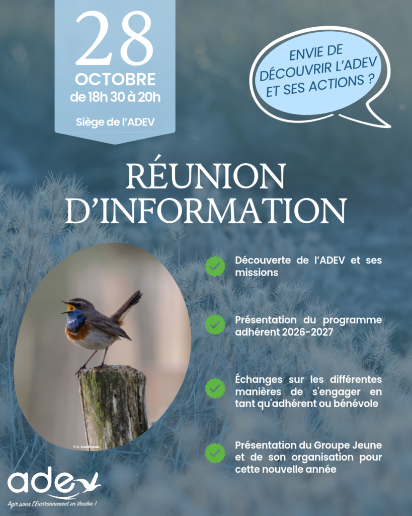 Affiche Réunion d'information