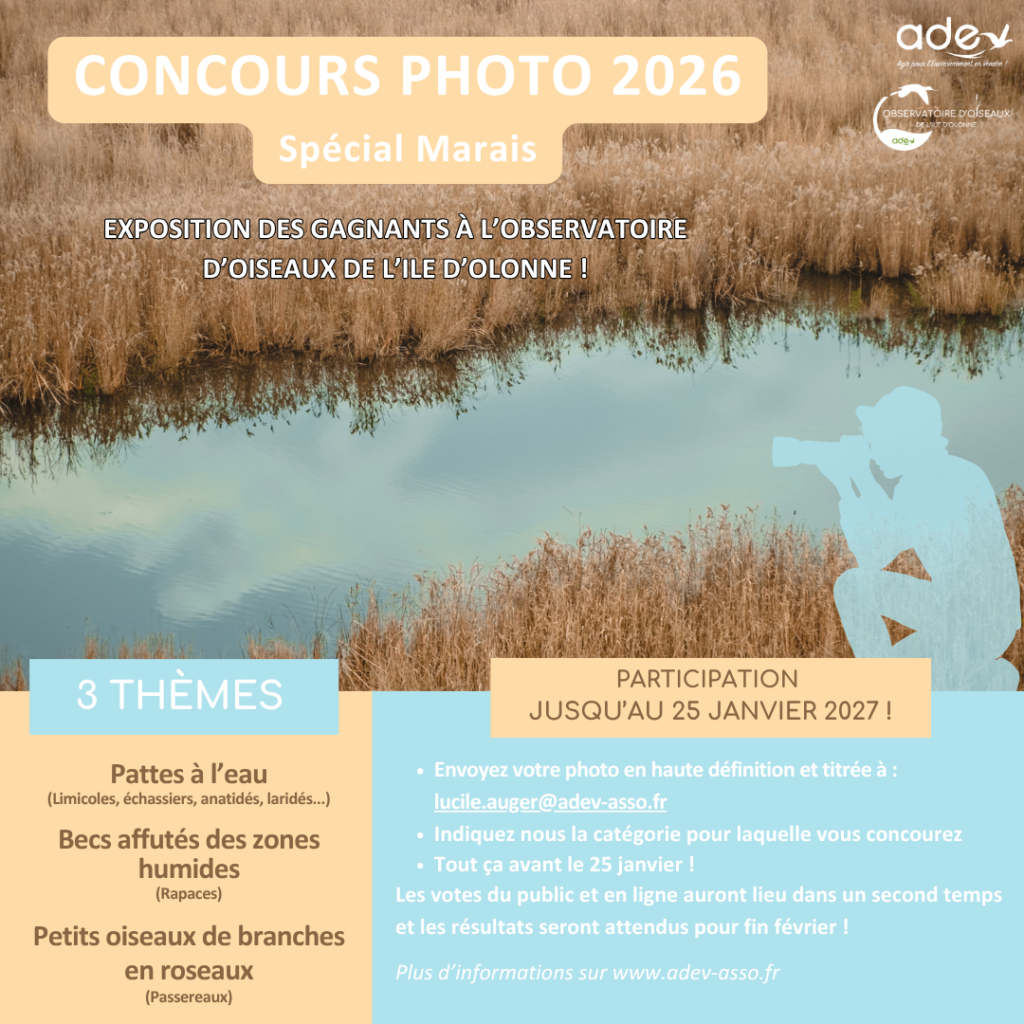 concours photo 2026