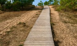 Chemin plage La Tranche 09 2020 Chemin plage La Tranche 09 2020