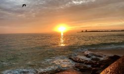 Les Sables d’Olonne Plage 4 Les Sables d'Olonne Plage 4
