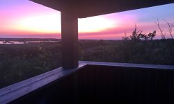 OBSERV IDO 2 Les Ailes de la Nuit à l'Observatoire d'Oiseaux